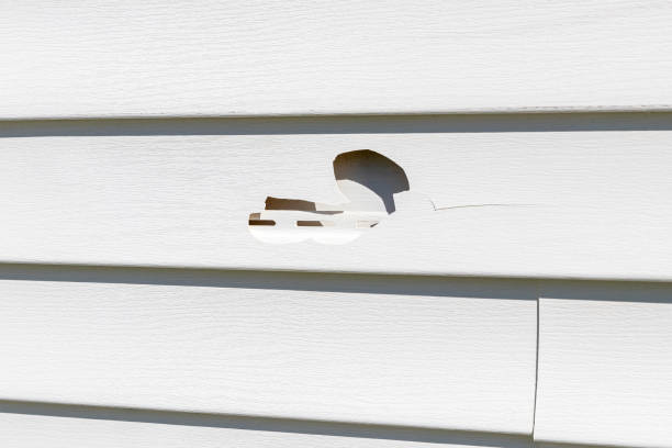 Professional Junk Removal in Waymart, PA